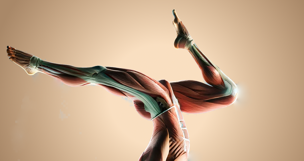 Handstand Leistungen: ✓ Akutbehandlung ✓ Sporttherapie ✓ Atemtherapie ✓ Leistungssportler ✓ Dauerhafte Gesundheit ✓ Prävention ✓ Haltungsanalyse ✓ Bewegungsanalyse ✓ Ganganalysen